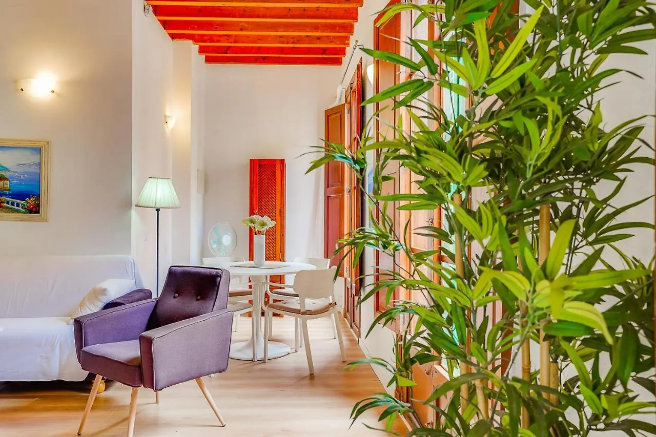 Holiday Palma Apartments - Ti Spain